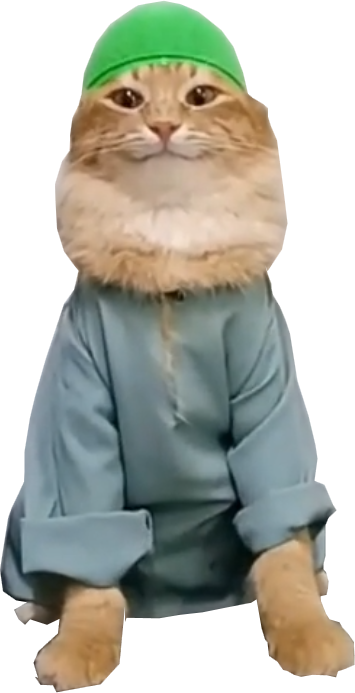 fluffspin